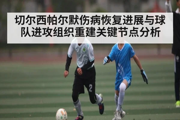 切尔西帕尔默伤病恢复进展与球队进攻组织重建关键节点分析（kaiyun）