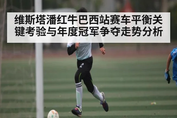 维斯塔潘红牛巴西站赛车平衡关键考验与年度冠军争夺走势分析